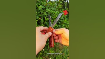 Double knife for opening express delivery fruit knife eat the handle Meat Knife Double Knife #shorts