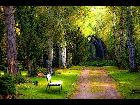 Relaxing Beautiful Music| Sleep Meditation |Best Relax House, Chillout, Study, Running, Happy Music