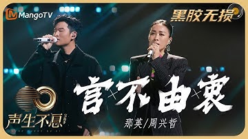 【纯享·黑胶无损】《言不由衷》- 那英周兴哲 声线交织出对爱的倔强与洒脱｜声生不息宝岛季 Infinity and Beyond 2023｜Mango TV Music