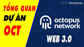 Tổng Quan Dự Án Octopus Network (OCT) - Mạng Lưới Phi Tập Trung Ứng Dụng Web3.0