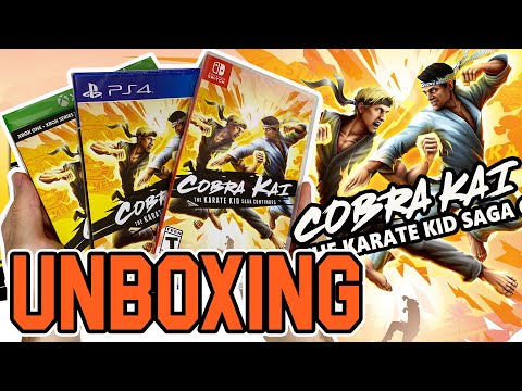  Cobra Kai Karate Kid Saga - Nintendo Switch : Game