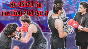 Real Lion vs Ignatius - The Scrapyard