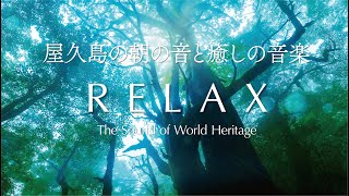 屋久島の朝の音と癒しの音楽 | 自律神経 睡眠用 リラックス bgm