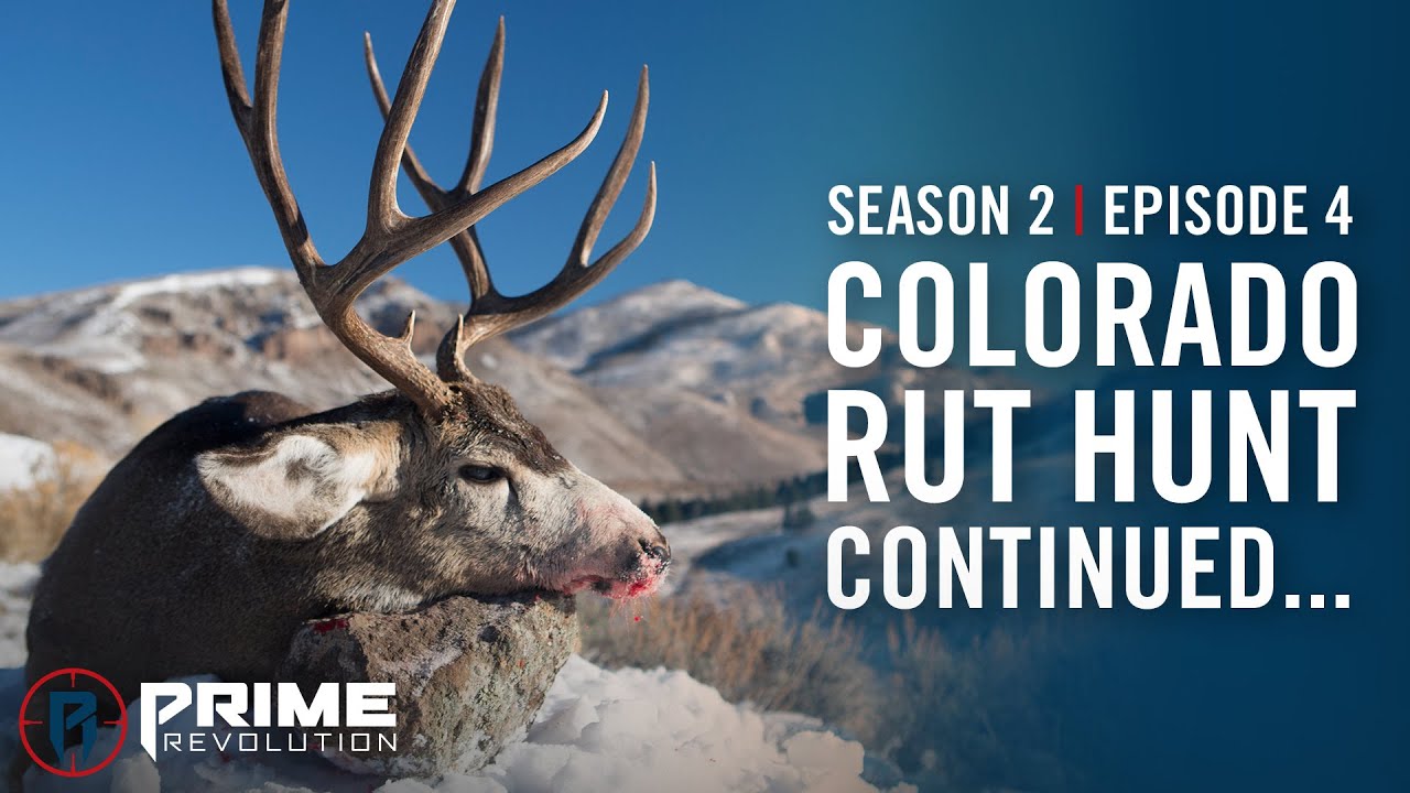 Prime Revolution | Season 2 Ep 4 - Two Tags Left to Fill - YouTube