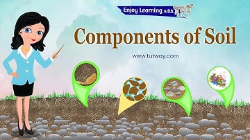 Soil | Components of Soil | Important Functions of Soil | Layers Of Soil | Earthworms | Science