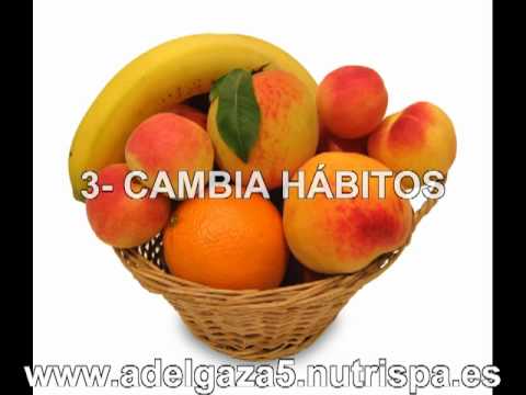 endocrinology test dietas adelgazar rapido (5)