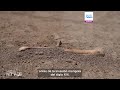 Región de Turquestán: montañas y patrimonio