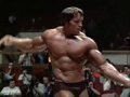 Arnold schwarzenegger  the austrian oak