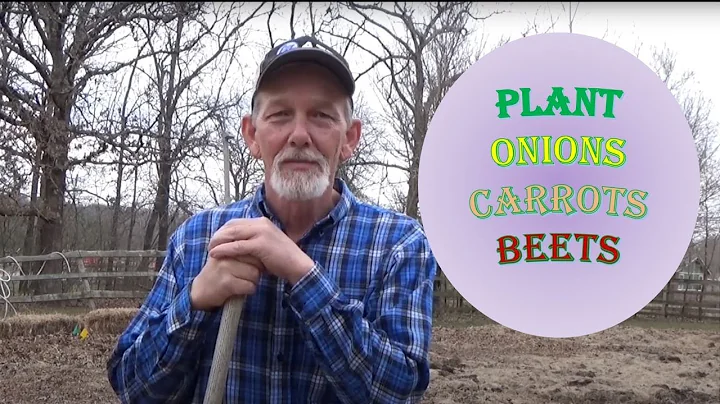 How to plant carrots, onions, beets in my weed fre...