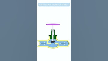 Globe Valve