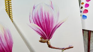 How to paint realistic magnolia petals in watercolor | マグノリアの花の水彩画 | цветы магнолии акварель