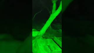 Ketika Banaspati Muncul misteri horrorstory pendanakan banaspati bacotanhidup trending