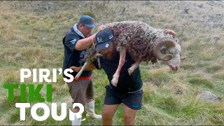 Hunting for Wild Ram and Weka in the Chatham Islands  Piri's Tiki Tour  S1 Ep 7