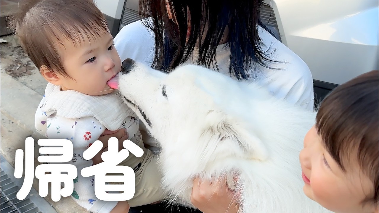 Dog happy to return to his parents' house for the first time in