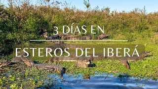 ESTEROS DEL IBERÁ