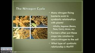 Cycling of Matter