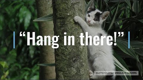 "Hang In There" Idiom Meaning, Origin & History | Superduper English Idioms