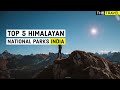 Top 5 must explore national parks in himalayas  thb travel