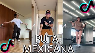 PUTA MEXICANA TIKTOK DANCE CHALLENGE🔥🔥