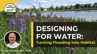 Designing for Water: Turning Flooding into Habitat