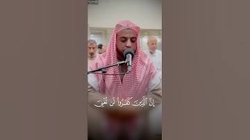 ربنا لا تزغ قلوبنا #تلاوة_خاشعة #اكسبلور #المصحف #راحة_نفسية #قران_كريم