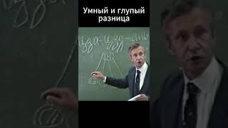 Описание умного и глупого человека  #shorts #психология