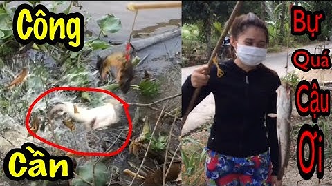 Câu cá lóc bầy khói lửa khủng dính hugo sông lớn