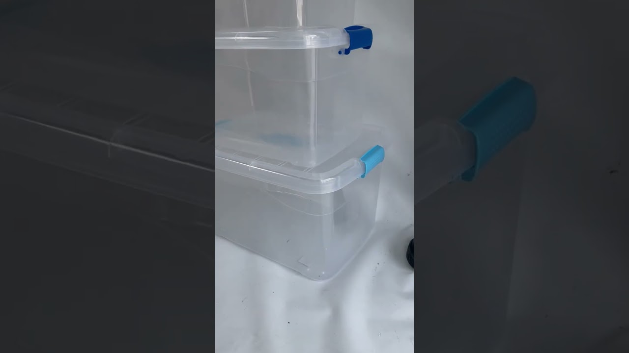 Caja Plástica Organizadora de 10 Litros con Tapa - Plastihogar