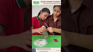 Science experiment in now days is more fun activities #shubhkaamnaacademy #summercamp #ravinagar