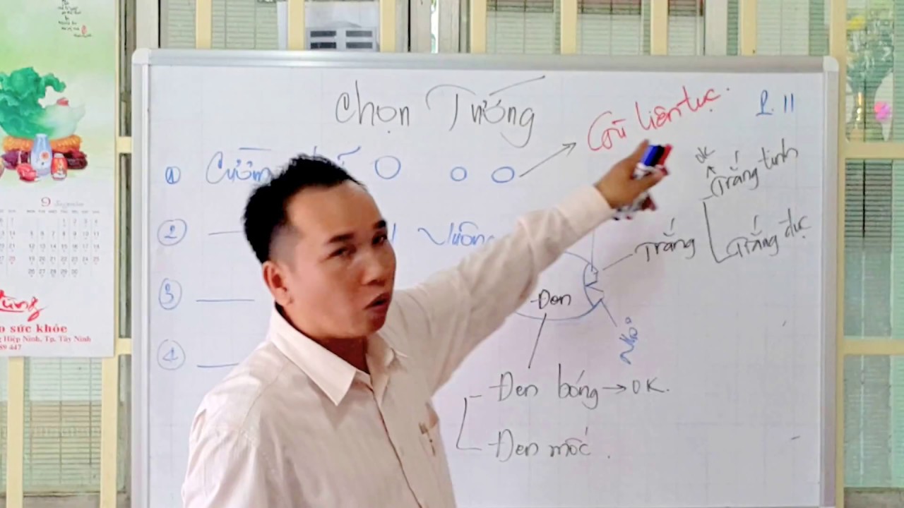 CHỌN CU MỒI HAY THEO QUAN ĐIỂM CỦA HỒNG SÂM P11