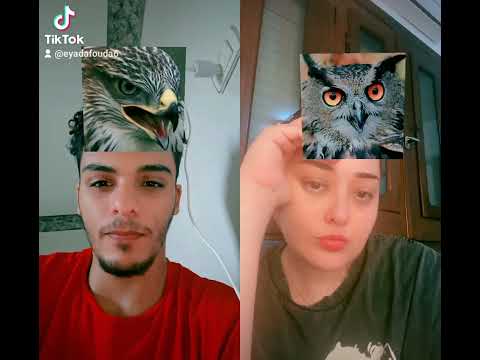 ازاي قطه انا طيب لي الدرجه ديه Trending Reels