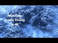 Amazing Maldives Diving (Training/Deep Sea complete experience) Meeru Island Resort in 4K