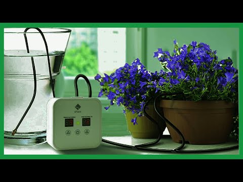 Video: About Melt Water And Other Intricacies Of Watering Indoor Flowers