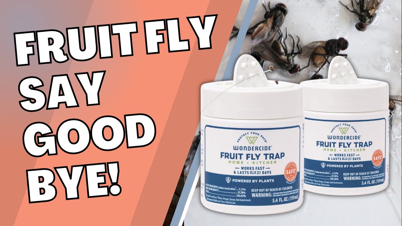 Snapshot of Fruit Fly Removal For Pets