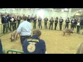 About FFA Career Development Events | National FFA Convention & Expo