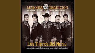 Video thumbnail of "Los Tigres Del Norte - Los Tres Amigos"