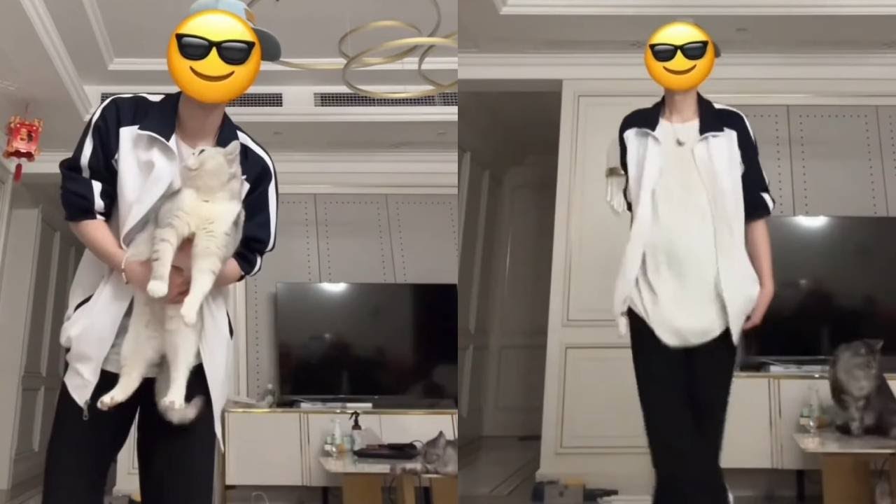 翻跳舞蹈合集，各种类型应有尽有，一起来看看吧