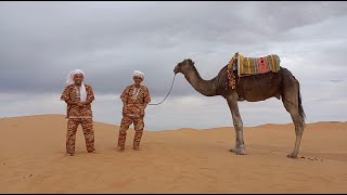 Camel guys at the Sahara tell Camel jokes screenshot 5
