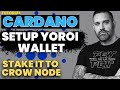 Create a cardano yoroi wallet and stake to crow node guide