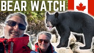 Bear and Whale watching in Vancouver Island, BC, Canada - Travel Vlog