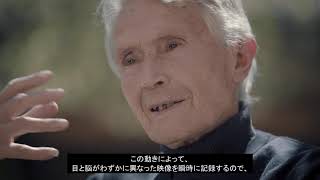 【日本語字幕】ランボルギーニ カウンタックの歴史 ①ガンディーニ