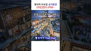 [최저가 상가분양] 별내자이 더스타 상가 최저분양가 #상가분양