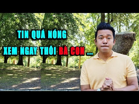 Video: Bóng tối và những con búp bê xinh đẹp của nghệ sĩ Kukula