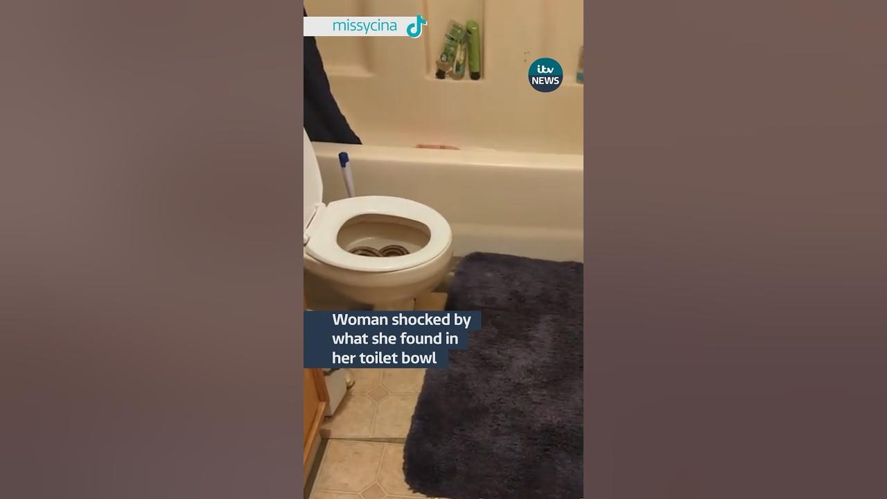 A woman got the shock of her life when she looked in her toilet bowl  #itvnews #animals #snake 
