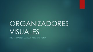 ORGANIZADORES VISUALES 1°