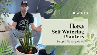 Setting Up Your IKEA Self-Watering Pot: A Cost-Effective Green Solution vs. EasyPlant.com