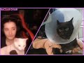 Pqueen - Aşı Yapılırken Saldıran Duman Kediyi İzliyor (Mia Kıskanıyor)