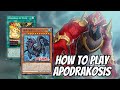 APODRAKOSIS Deck Profile 2024 | Dark Sea Serpent Dryagle Breaking the Meta