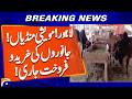 Lahore Cattle Market Latest Situation | Eid-ul-Adha 2026 | Geo News
