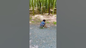 "Adorable Baby Shorts: Cute Moments and Milestones!" #shorts #cutebaby